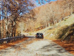 20-raduno-dautunno-17-novembre-2024