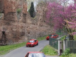 roma 2008